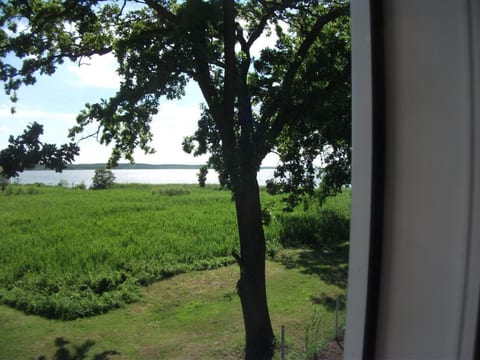 Seeblick