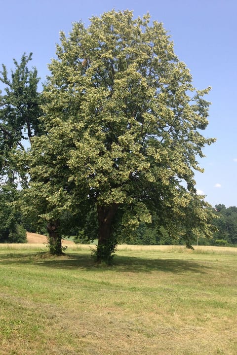 in der Nähe von Thermalbad