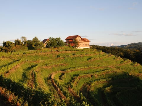 für 8 Personen  + 4 Kinder ca. 200 m&sup2; in Ptuj, Untersteiermark (Drau Slowe