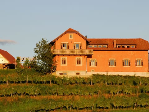 für 8 Personen  + 4 Kinder ca. 200 m&sup2; in Ptuj, Untersteiermark (Drau Slowe