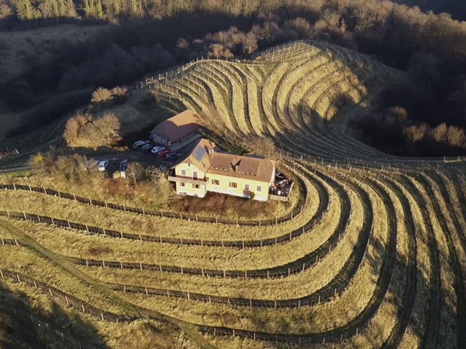 pour 8 personnes + 4 enfants environ 200 m² à Ptuj, Styrie inférieure (Drau Slowe - Ptuj