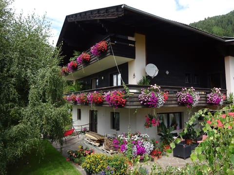 Phlox in Millstatt