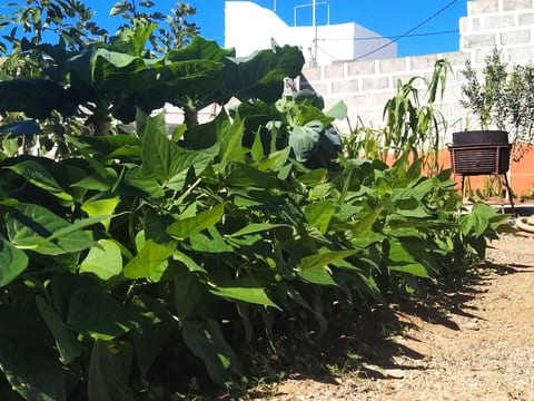Edara Home - Haus mit privatem Garten