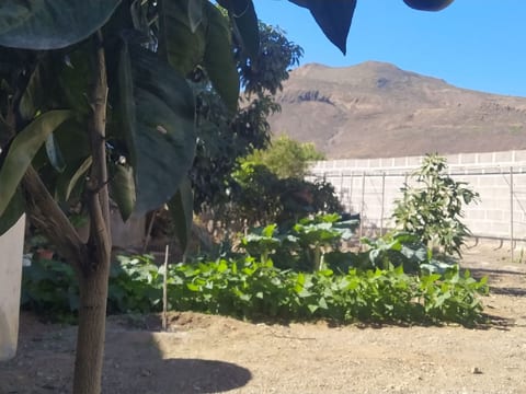 Edara Home - Haus mit privatem Garten