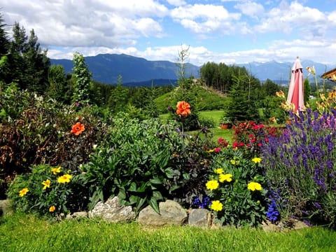 Cosmea in Millstatt