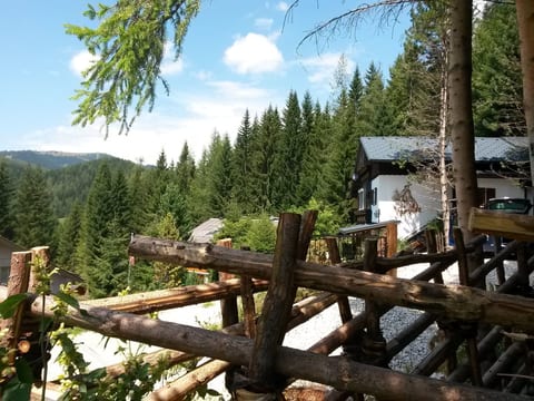 Alm´Ferienhaus Gaisegg am Klippitztörl