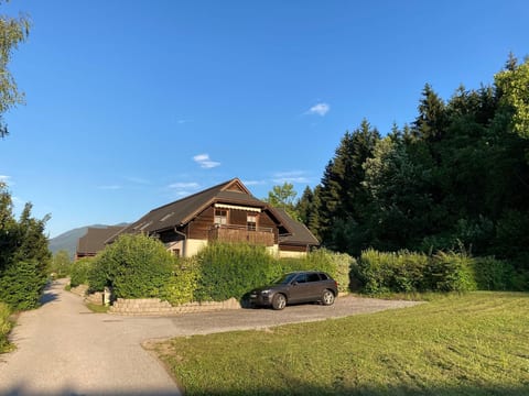 Erle in Feistritz im Rosental