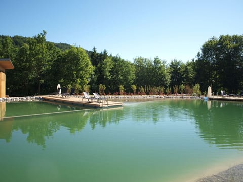 Erle in Feistritz im Rosental