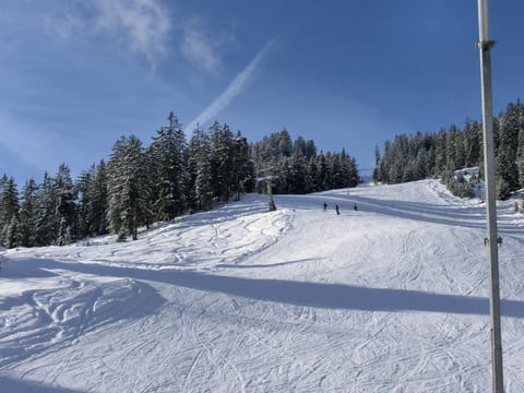 Alpenhof Sonne