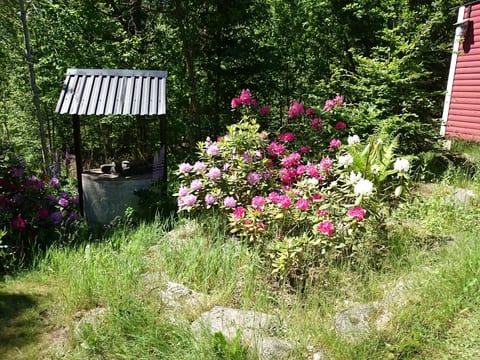 Gemütliches Ferienhaus in Seenähe