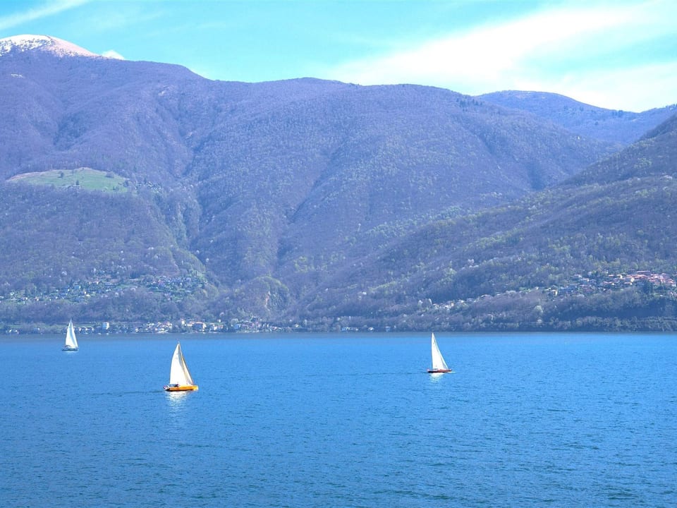 See-Penthouse - Brissago