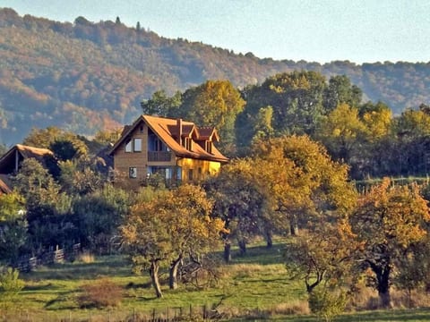Casa Zollo 2 - kuschelige Fewo in den Hügeln