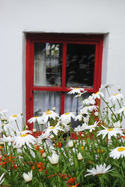 Minie's Cottage Wild Atlantic Way