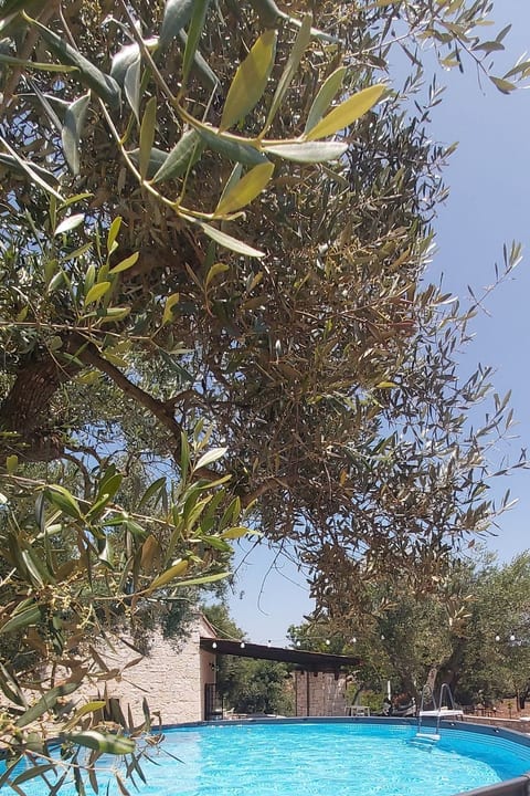 Villa Valle degli Ulivi