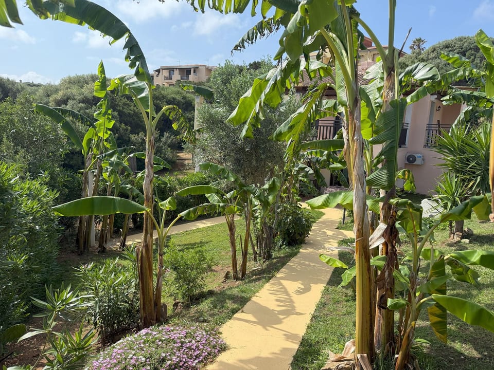 Villa in Banani - Olmedo