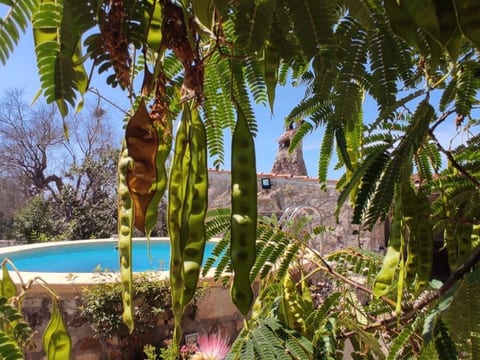 Villa Barone Landhaus mit Pool