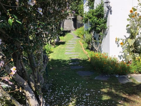 Casa Tintinnio