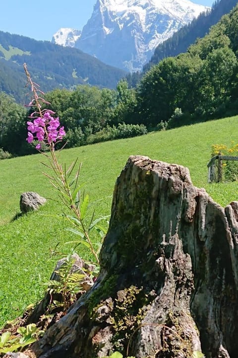 Alpen-Paradies