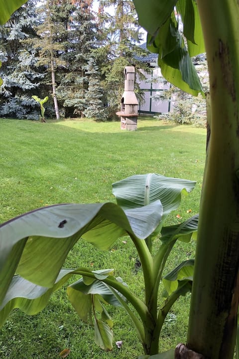 mit Garten, Grill und Terrasse