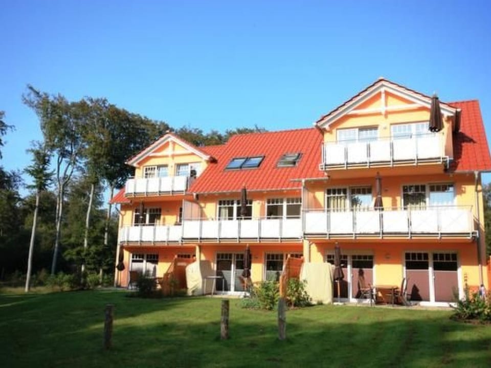 Kormoran - Koserow