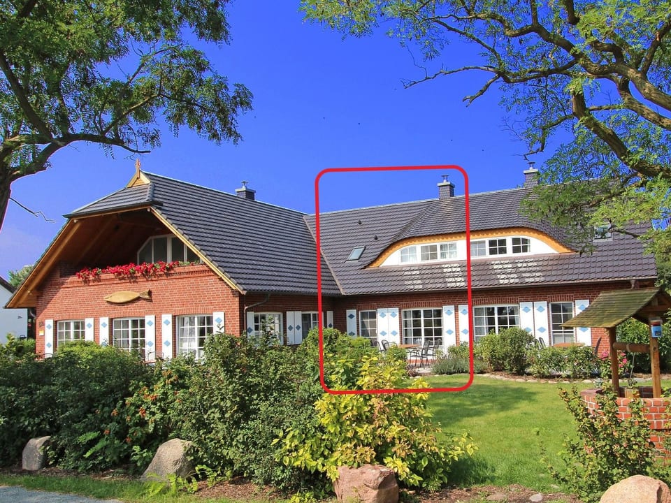 Tohus - Wigbold - Baabe