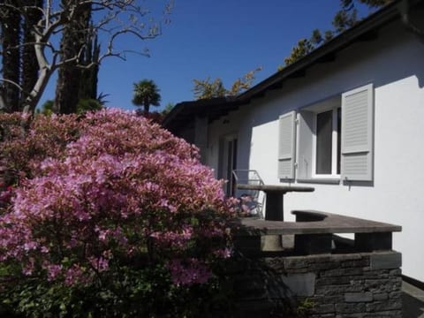 Öko-Haus P Pool Garten herrlicher Seeblick