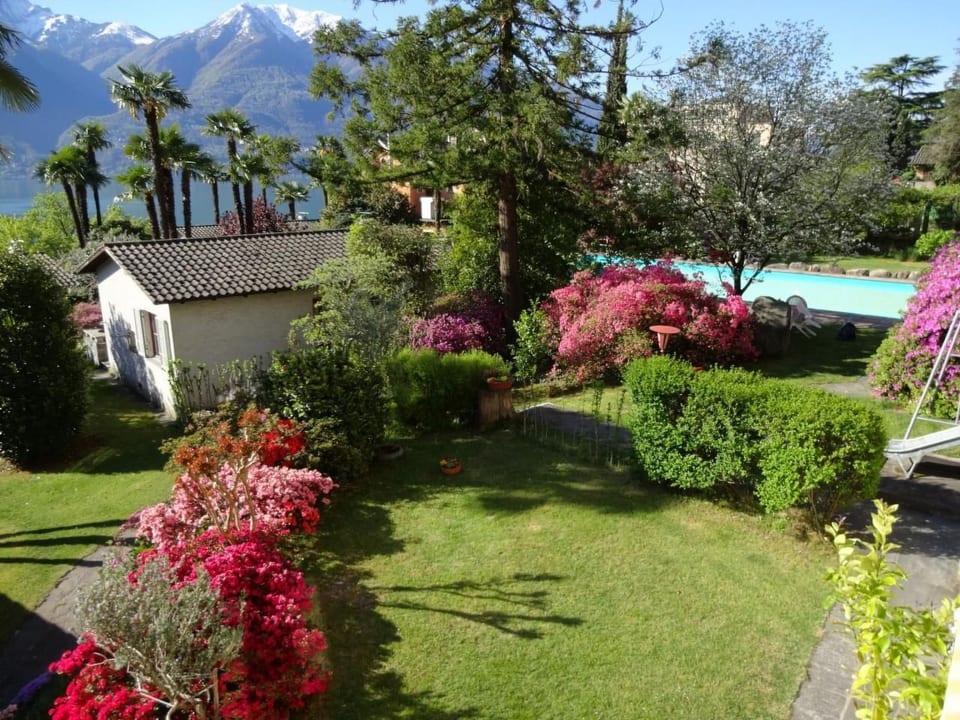 Öko-Haus B piscina giardino splendida vista lago - Minusio