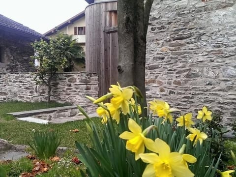 Corte delle Camelie - Wohnung im ersten Stock