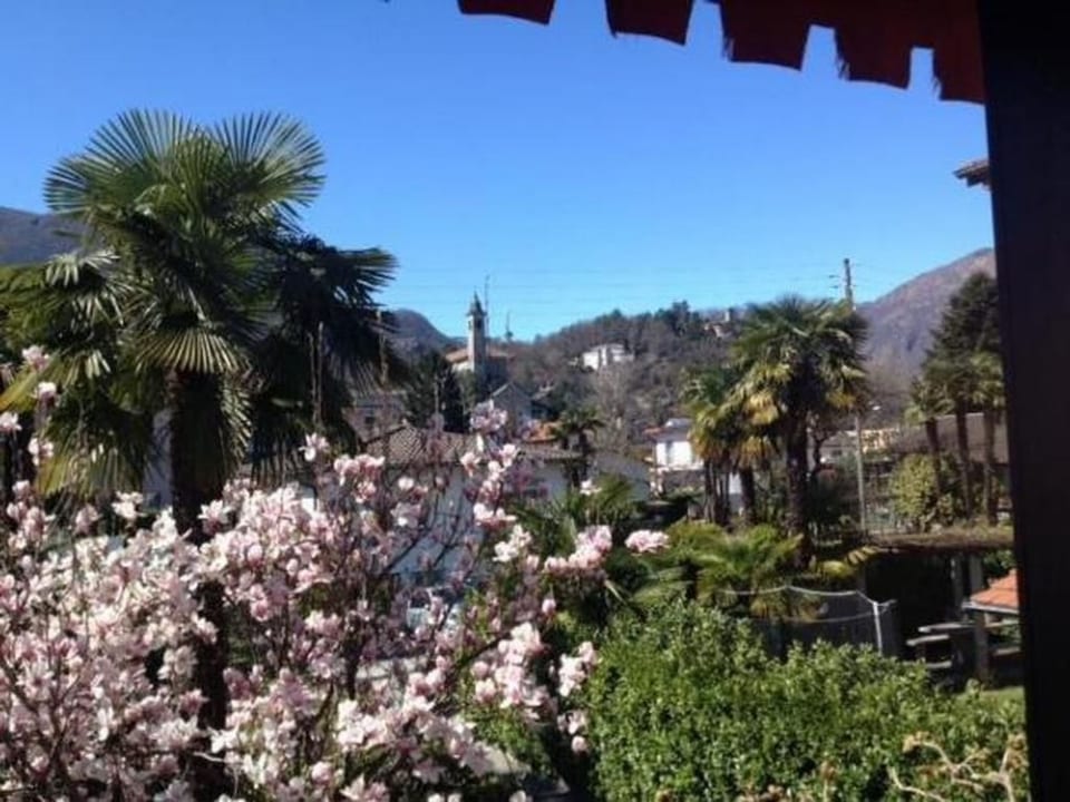 Casa Viola - Losone