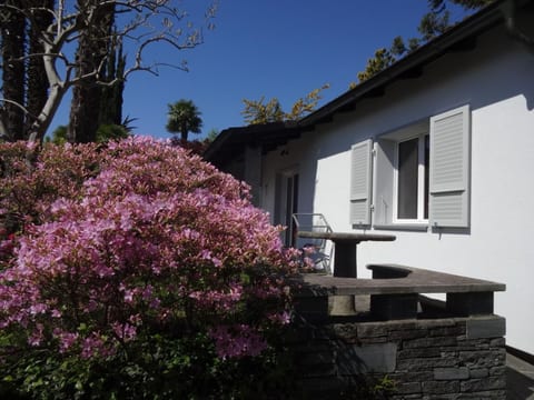 Öko-Haus C mit Gartenpool und herrlichem Seeblick