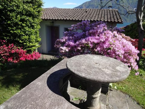 Öko-Haus C mit Gartenpool und herrlichem Seeblick
