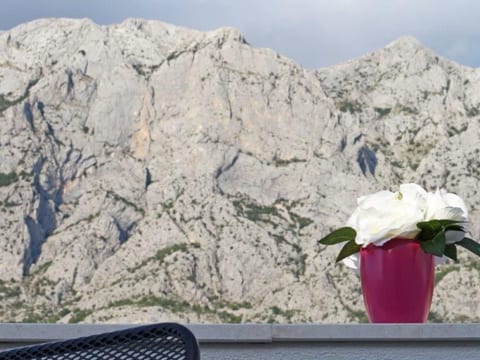 "Rose" mit Terrasse