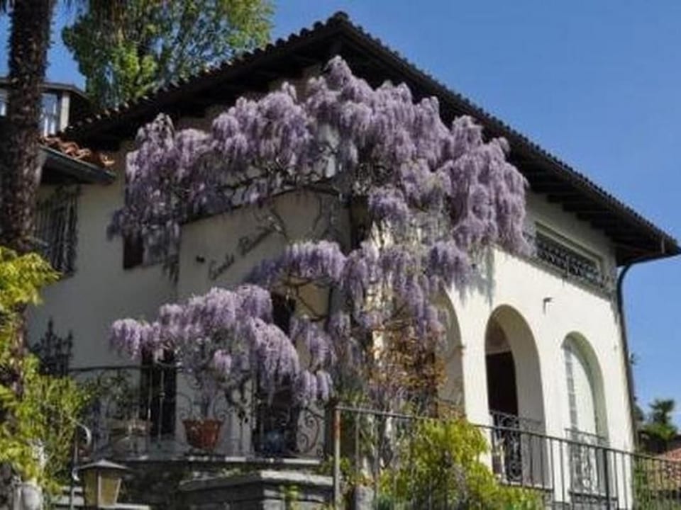 Villa Cresta Bianca - Ronco sopra Ascona