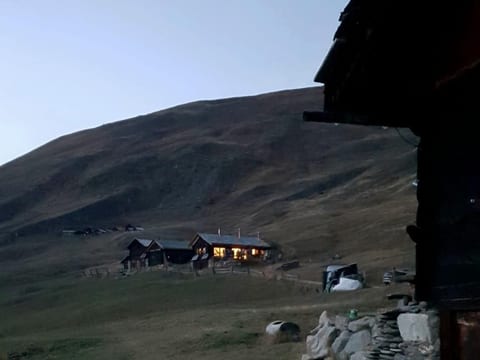 Alp 2100 - Mayen exklusiv