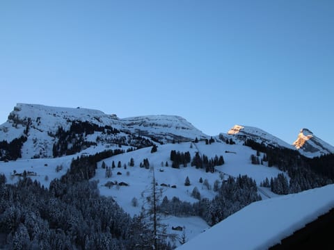 Chalet Lilian