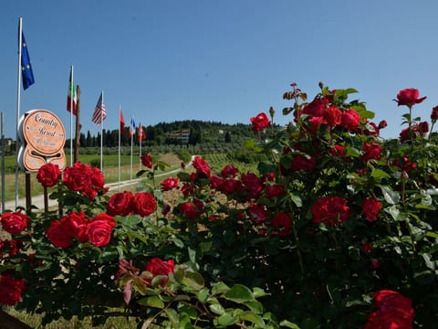Villa il Frassine