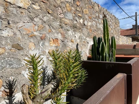 The Olive Retreat