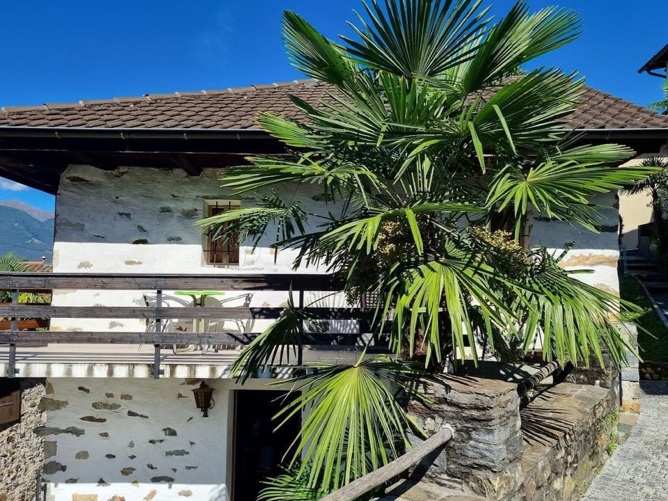 Rustico Casa Weber - Gambarogno