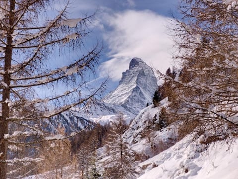 Freistehendens Chalet Zen Zermatt an bester Lage