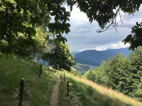 Typisches Tessiner Landleben im Centovalli