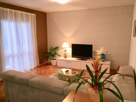 Geräumige Ferienwohnung mit schönem Garten