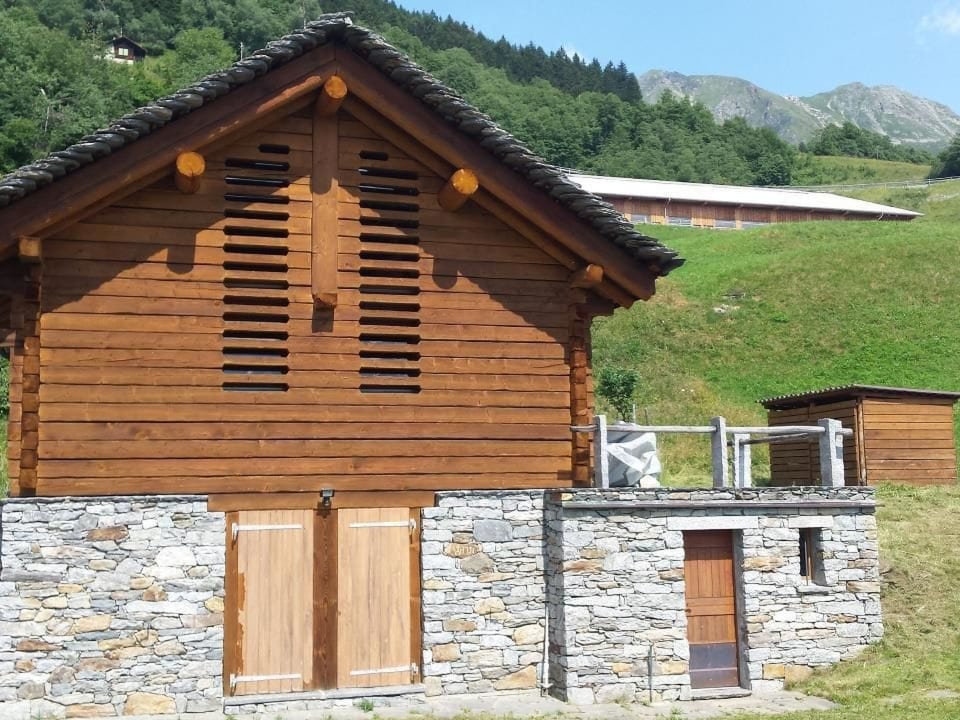Rustico Valgrazia - Faido