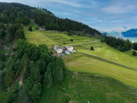 Monte Campell Dasura