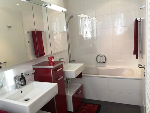 4.5-Zi Wohnung im SUNNAFELS