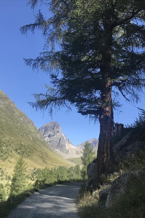 Urlaubstage in Davos