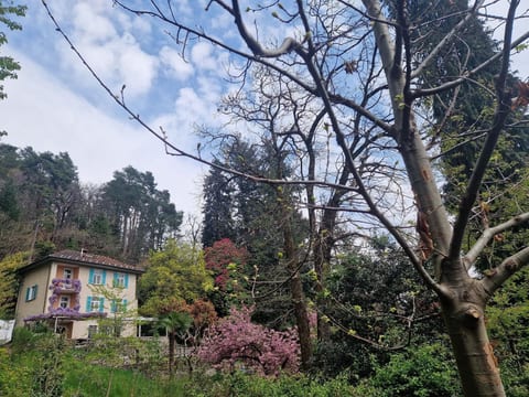 La Pineta