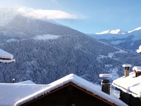Chalet 3 Zi. in ruhiger Lage, in der Nähe von Verbier