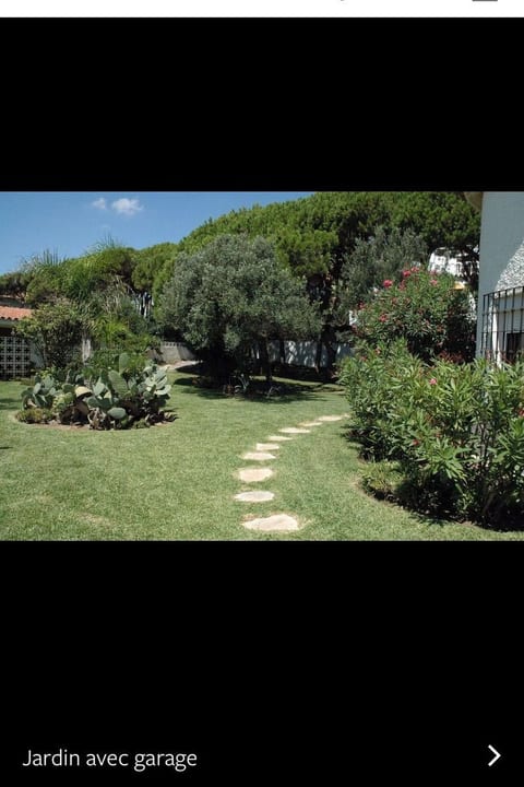 Tortugas