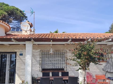 Tortugas