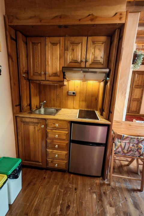 Studio mit Kamin Cosmos 3 Vall de Boí